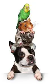 Group of pets concept as a dog cat hamster and budgie standing on top of eath other as a symol for veterinary care and support or pet store design element for advertising and marketing on a white background.
