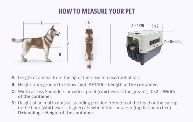 Haveing the right size kennel for your dogs to travel internationally is key